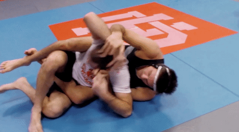 The Ultimate Fighter Tuf Redemption GIF by UFC