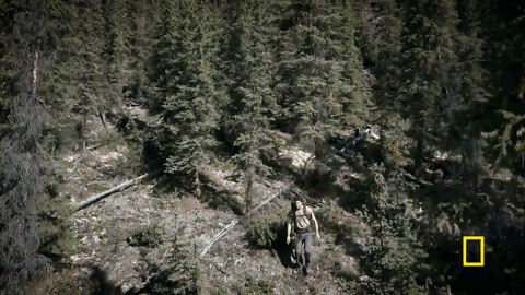 life below zero GIF by National Geographic Channel