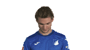 Look Up Tsg Hoffenheim Sticker by Bundesliga