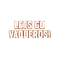 Utrgv10 Sticker by The University of Texas Rio Grande Valley