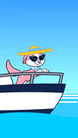 Cat on a yacht