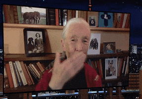 Jimmy Fallon Love GIF by The Tonight Show Starring Jimmy Fallon