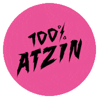 Germany Party Sticker by Die Atzen
