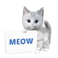 KittenSoftIreland cat kitten meow roll Sticker