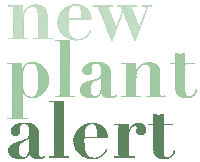 Plant Plantlover Sticker