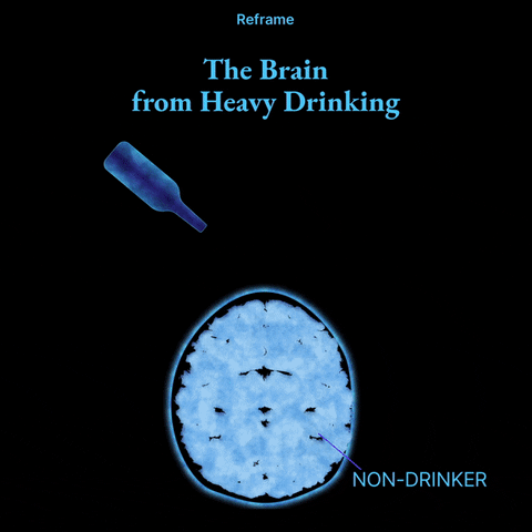 ReframeApp giphyupload GIF