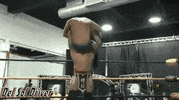 GIF by Giffffr