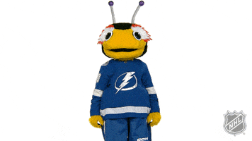 Ice Hockey Whatever GIF by NHL