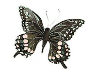 nervous sarah alexander Sticker by Gracelaced