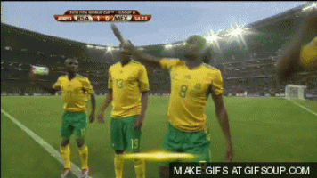 south africa GIF