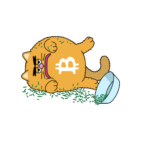 Cat Bitcoin Sticker by herecomesbitcoin