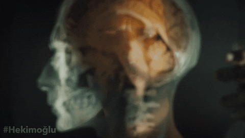 Tv Series House GIF by Tüplü Televizyon