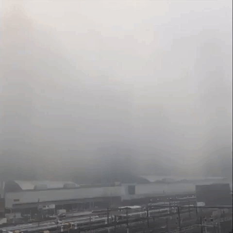 Visibility Plummets as Thick Morning Fog Shrouds Melbourne's City Centre