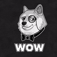 Black And White Wow GIF by Doge Pound
