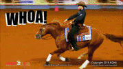 SilverSpursEquine whoa reiner reining worldchampion GIF