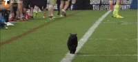 GIF by Mashable