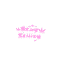 Plug Play Weed Sticker by STIIIZY