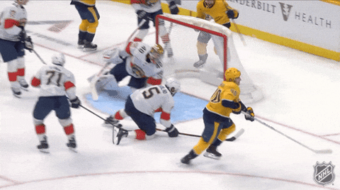 Happy Nashville Predators GIF by NHL
