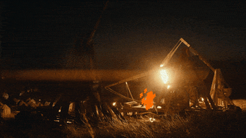 Timothee Chalamet GIF by NETFLIX