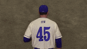 Cuw GIF by CUWFalcons