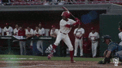 nc state tatum GIF by NC State Athletics