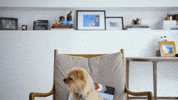 Illustration Artist GIF by Reuben Armstrong