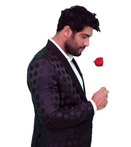 Für Dich Rose Sticker by Der Bachelor (Schweiz)