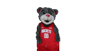 Get Up Sport Sticker by Houston Rockets
