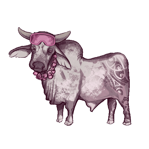 Snowboard Kuh Sticker by P8 Marketing GmbH