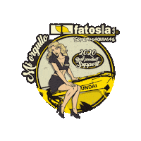 Ecuador Hyundai Sticker by Fatosla C.A.