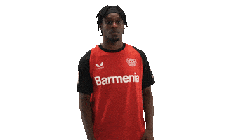 Bayer Leverkusen Sticker by Bundesliga