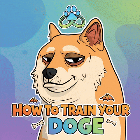 Shiba Inu Dog GIF by Doge Pound