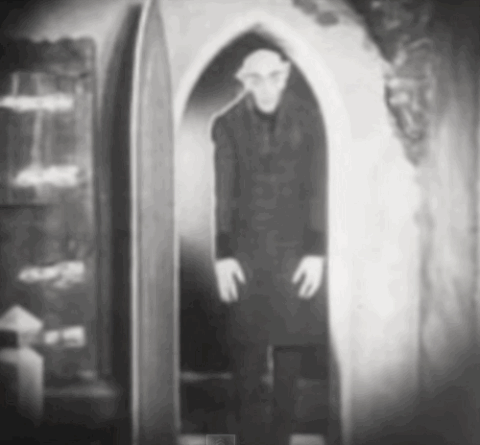 nosferatu GIF