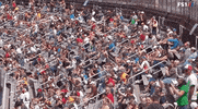 Sport Racing GIF by NASCAR