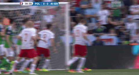 euro 2016 GIF by Sporza