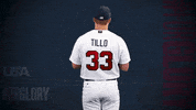 Pro GIF by USA Baseball