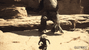 Video Game Fall GIF by CAPCOM