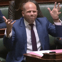 de_nva theo mwa twijfel handen GIF