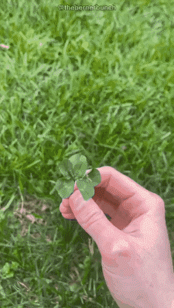 jermbly giphygifmaker GIF