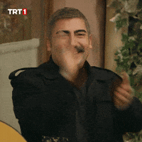 Happy Comedy GIF by TRT