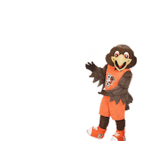 freddiefalcon Sticker by Bowling Green State University