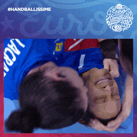 france crying GIF by EHF