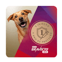 Bravecto Pulgas Sticker by MSD Família Pet