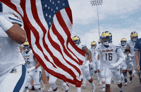 Football Flag GIF by Delaware Blue Hens