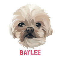 Dog Baylee Sticker