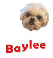 Dog Baylee Sticker