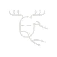 happy christmas Sticker by S7 Airlines