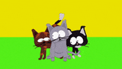 aroused cats GIF by South Park 