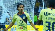 Football Soccer GIF by Club America