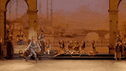Enblecorsaire GIF by English National Ballet
